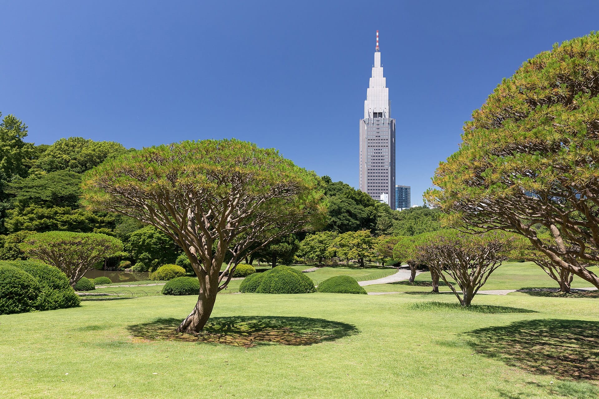 新宿御苑でピクニックするときのルール — 酒類・持ち込み禁止のもの・開園時間・入園料・新宿中央公園との違い【2026年版】