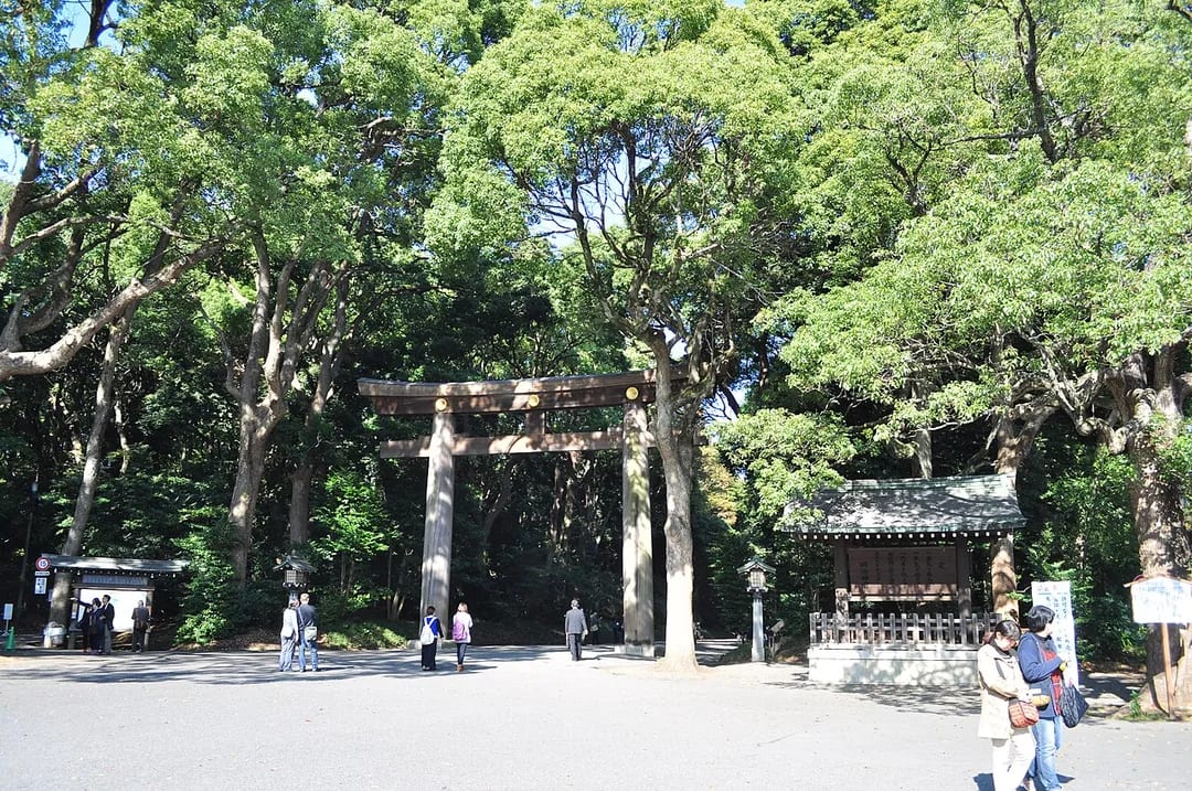 How to Visit a Japanese Shrine (Step by Step)